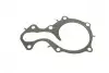 Помпа води Ford C-Max II/Focus III/Mondeo V/Fiesta/Transit Courier 1.0 EcoBoost/1.1 12- (R/B)(6 лоп) BUGATTI PA10223 (фото 15)