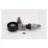 Натяжная планка, поликлиновой ремень JAPANPARTS TS-909 (фото 1)
