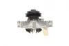 Помпа води Citroen Jumper/Peugeot Boxer 2.5D/TD/TDI/4x4 96-02 (B/B) (8 лоп) BUGATTI PA5508 (фото 21)