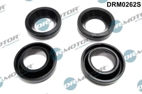 Сальник 4 шт., к-т DR MOTOR DRM0262S