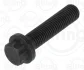 Болт кріплення кришки шатуна VW Caddy IV 1.0-1.6 TSI 15- (M8x1x33) ELRING 038.820 (фото 1)