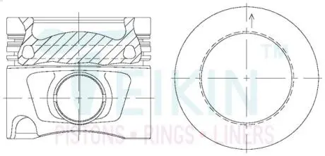 Поршни ремонт +0.50mm(к-кт на мотор) VAG 2.0TDI TEIKIN 48222AG050
