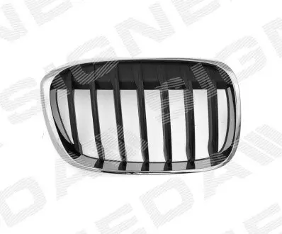 Решетка радиатора Signeda PBM07124GAR