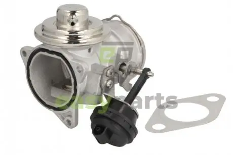 ЗАВ?R REC SPALIN EGR AUDI A3 / SEAT LEON, TOLEDO / SKODA OCTAVIA / VW BORA, GOLF 00- Delphi EG10420-12B1