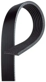 Ремiнь клиновий Gates 7PK1179SF