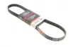Ремінь генератора Citroen Berlingo/Peugeot Partner 1.6 BlueHDi 08- 6PK1005EST