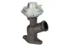 ZAW?R REC SPALIN EGR CITROEN C4, C5, JUMPY / PEUGEOT 206, 306, 607 98- Delphi EG10423-12B1 (фото 1)