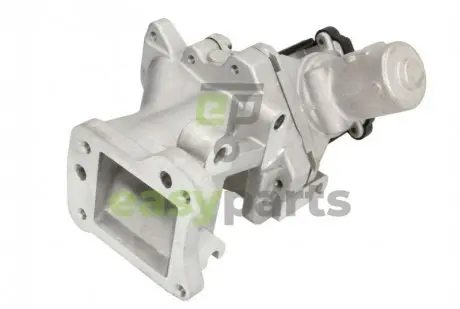 Клапан рециркуляції газів Delphi EG10437-12B1