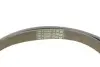 Комплект ременя генератора BMW 3 (E90)/X1 (E84) 04-15 M47/N47 (6PK1780) INA 529 0510 10 (фото 5)