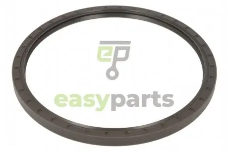 USZCZELNIACZ WAгU 230X260X15 /SIMMERING/ CORTECO 12032043B