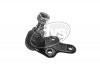 Sworzeё wahacza FORD FOCUS II /ze Ьrubami/ 2004-/C30 06- 27-20491