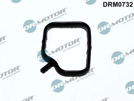 Прокладка фланця охолоджуючої рiдини DR MOTOR DRM0732