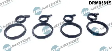 Прокладка корпус форсунки 4шт DR MOTOR DRM0581S