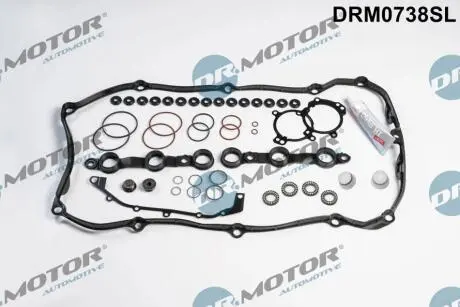 РЕМКОМПЛЕКТ DOW?JNEGO VANOS BMW M52TU / M54 DR MOTOR DRM0738SL