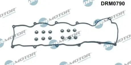 Прокладка клапанної кришки, к-т 13 елементiв DR MOTOR DRM0790