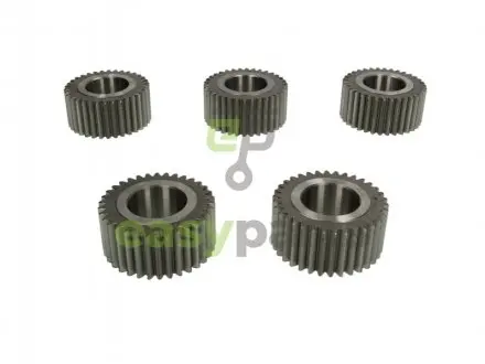 Комплект шестерень планетарної передачі, 5 штук EURORICAMBI 95570917