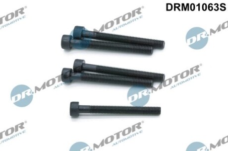 Болти крiплення форсунки к-т 5 шт DR MOTOR DRM01063S