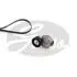 ZESTAW PASKA PK FORD /ЕВРОПА/ C-MAX 2.0D 15- K056PK1270