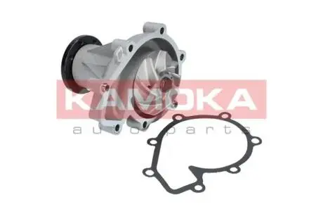 ВОДЯНОЙ НАСОС MERCEDES VITO 96 -, SPRINTER 95-06 KAMOKA T0181