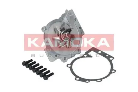 VOLVO V70 WODY насос 01 -, XC60 08 -, XC70 02- KAMOKA T0270
