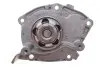 Комплект ГРМ + помпа Nissan Primera 1.9dCi 02-/Renault Scenic/Megane 1.9dCi 03-(26x133z) RENAULT / DACIA 119A01812R (фото 10)