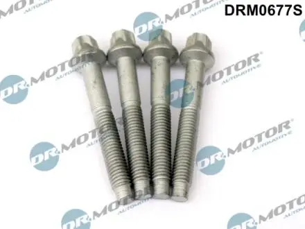Болт крiплення форсунки 4шт M8x125 DR MOTOR DRM0677S
