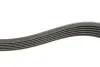 Комплект ременя генератора Skoda Fabia/VW Polo 1.0/1.6 14- (6PK989) INA 529016010 (фото 3)