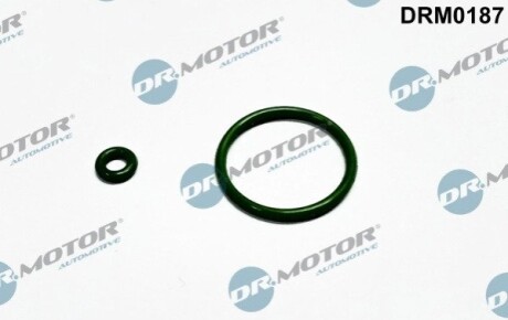 Ремкомплект форсунки 2 елементи DR MOTOR DRM0187