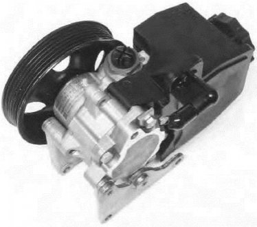 Гидравлический насос, рулевое управление GENERAL RICAMBI PI0308 (фото 1)