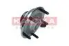 ПЯСТА КО? ТЫ? Z ABS FORD TRANSIT 00-06 KAMOKA 5500253 (фото 4)