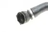 Патрубок радіатора (верхній) BMW 5 (F10/F07/F11) 2.0D 10-17 N47 Gates 05-2621 (фото 6)