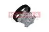 Фото 2 - насос гидроусилителя руля citroen evasion 00-02 KAMOKA PP064 НАСОС ГИДРОУСИЛИТЕЛЯ РУЛЯ CITROEN EVASION 00-02 KAMOKA PP064 (фото 2)
