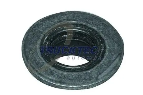 Прокладка, болт кришка головки циліндра TRUCKTEC 01.10.189