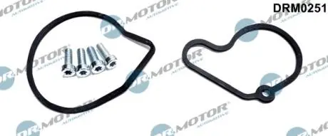 Комплект прокладок из разных материалов DR MOTOR DRM0251