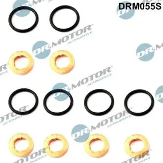 Ремкомплект форсунки DR MOTOR DRM055S