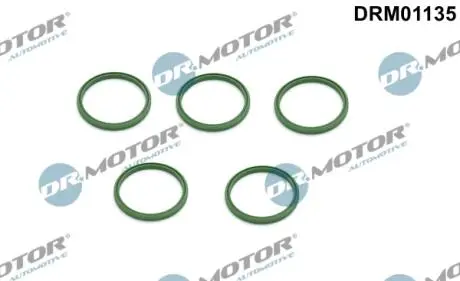 Ущiльнююче кiльце, 5 шт DR MOTOR DRM01135