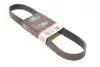 Ремінь генератора BMW 3 (F30)/5 (F10) 11-16 (N55B30A) (8PK942) Gates 8PK942EST (фото 1)