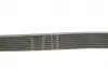 Ремінь генератора BMW 3 (F30)/5 (F10) 11-16 (N55B30A) (8PK942) Gates 8PK942EST (фото 3)