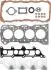 Комплект прокладок, головка цилиндра VICTOR REINZ 02-52645-01 (фото 1)