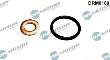 Ремкомплект форсунки 2 елементи DR MOTOR DRM0189