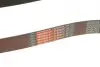 Ремінь генератора BMW X1 (F48)/X2 (F39) 20- B38 (8PK954) Gates 8PK954EST (фото 6)
