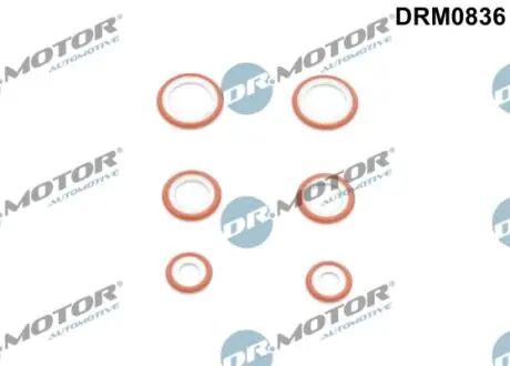 К-т ущiльнюючих кiлець 6 елементiв DR MOTOR DRM0836