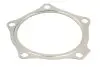 Прокладка, труба выхлопного газа ELRING 457.880 (фото 1)