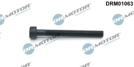 Болт крiплення форсунки DR MOTOR DRM01063