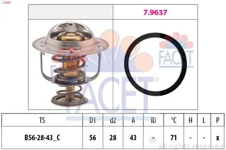 Термостат, охолоджуюча рідина FACET 7.8650