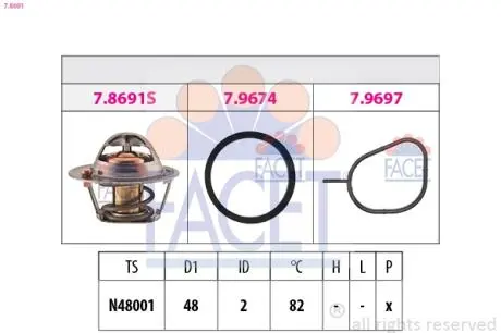 Термостат, охолоджуюча рідина FACET 7.8691