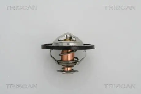 Термостат, охолоджуюча рідина TRISCAN 8620 13591