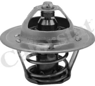 NISSAN Термостат с прокладкой 82 °C MICRA II (K11) 1.3 i 16V 92-00, AUDI TT (8N3) 1.8 T quattro 05-06 Vernet TH6313.82J