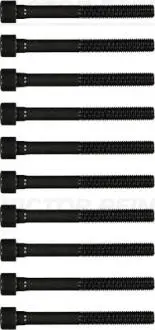 Комплект болтів головки цілідра VICTOR REINZ 14-55036-01