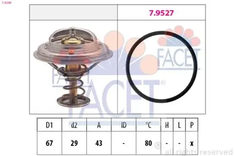 Термостат, охолоджуюча рідина FACET 7.8549